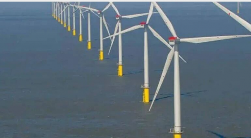 英国推出海洋修复基金，称可“解锁”最多19GW海上风电建设